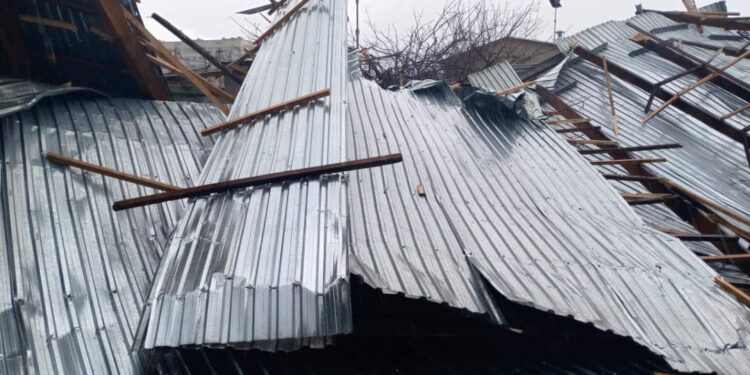 Бишкек менен Чүйдө катталган шамалдын кесепети (видео)