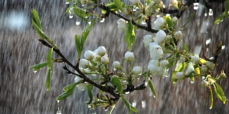 10-мартка карата өлкөдө күтүлгөн аба ырайы