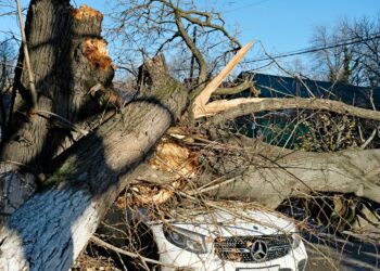 Шамалдан унааны бак басып калса кайда кайрылуу керек?