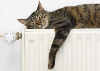 Бишкекте бүгүнтөн баштап жылуулук өчүрүлөт