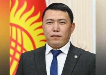 Президенттин маалымат катчысы шылуундар анын атын жамынып жатканын айтты