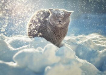 13-15-март күндөрү өлкөдө абанын температурасы төмөндөйт