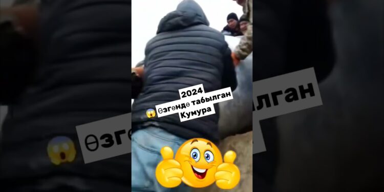 Өзгөндө чоң кумура табылды деген видео тарап жатат