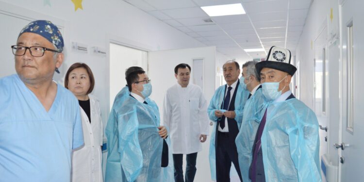 Түркиялык адистер Кыргызстандын органдарды алмаштырууга даярдыгын баалап жатышат