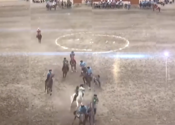 Нооруз турнири: Көк бөрү күйөрмандары үчүн ипподромго автобустар каттайт