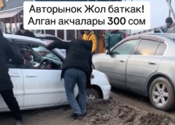 Унаа базардын абалы нааразычылык жаратты (видео)