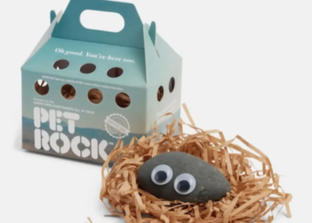 Түштүк Кореяда үй жаныбарларынын ордуна таш сатып ала башташты