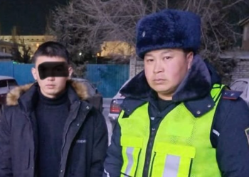 Караколдо жөө жүргүнчүнү сүзүп, из жашырган айдоочу кармалды