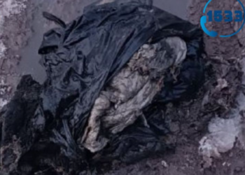 Кыш бүттү, куртканын кереги жокпу? Бишкекте канализацияга куртка тыгылып калган