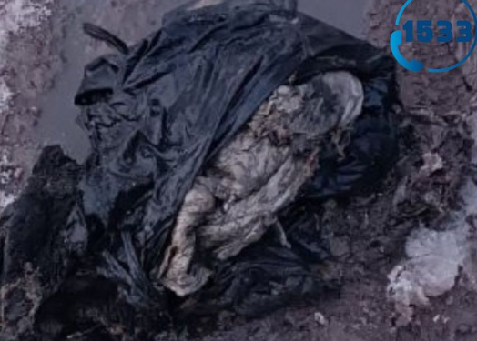 Кыш бүттү, куртканын кереги жокпу? Бишкекте канализацияга куртка тыгылып калган