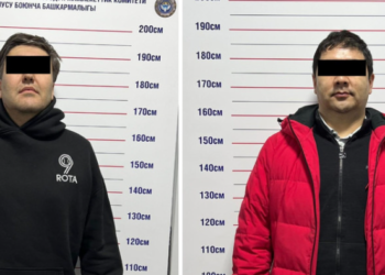 Камчы Көлбаев башкарган коммерциялык фирмалардын 2 жетекчиси кармалды