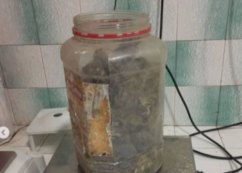 Жети-Өгүз районунун тургуну 1,5 килограмм баңги затын тоокканага катып койгон