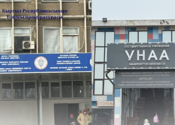 Башкы прокуратура: «Жол тескөөчүлөр мас абалында унаа башкарган адамды айдоо укугунан ажыраткан эмес»