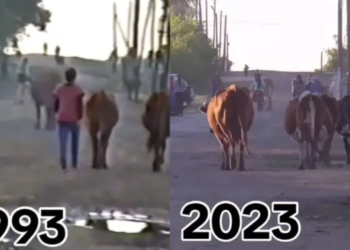 Казакстандыктар 30 жылдан бери өзгөрүү болбогон көчөнүн видеосу менен бөлүшүп жатышат