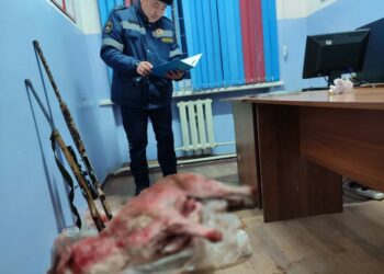 Ысык-Көлдө түн ичинде аңчылык кылган 2 жаран милицияга жеткирилди