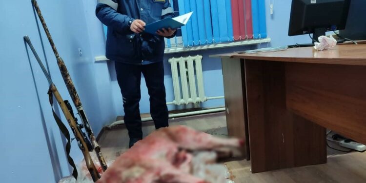 Ысык-Көлдө түн ичинде аңчылык кылган 2 жаран милицияга жеткирилди