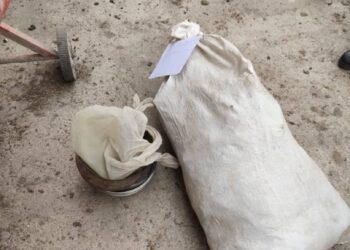 Баңги затын чатырга каткан Жети-Өгүздүн тургуну кармалды