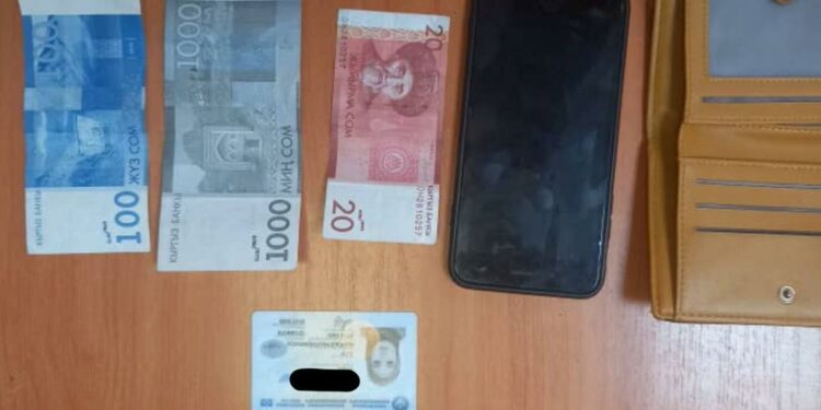 Бишкекте чөнтөкчүлөр кармалды (сүрөт)