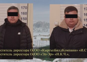 Ак-Талаада 7 адам кармалды. Кылмыштын чоо-жайы