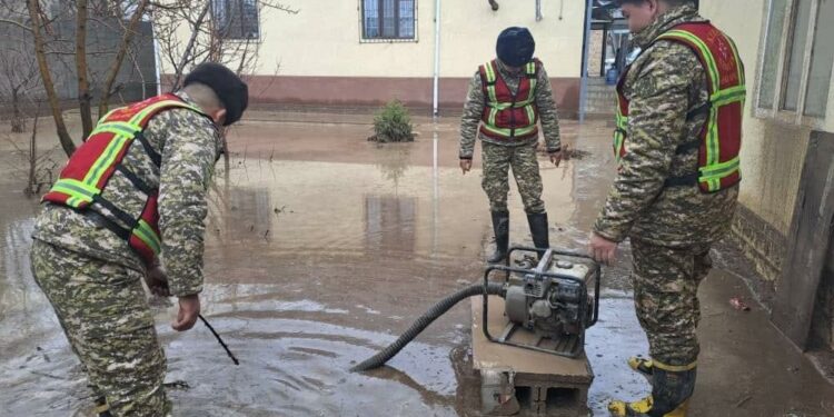 Жаандан улам Арча-Бешик конушундагы үйлөрдү суу каптады (сүрөт)