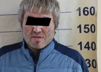 Бишкекте бычак кармап, милиция кызматкеринин сол чөнтөгүн айрып салган жаран кармалды