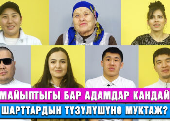 Ар бир адам жеткиликтүү чөйрөдө жашоого укугу бар!