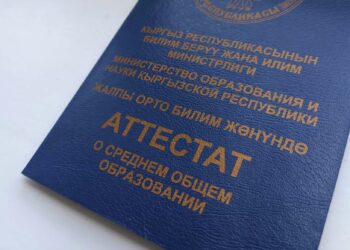 «Жасалма аттестат алган». Тоңдо айылдык кеңештин депутатына кылмыш иши козголду