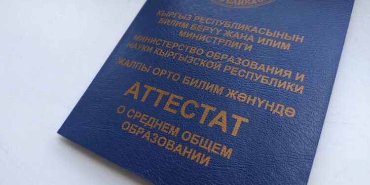 «Жасалма аттестат алган». Тоңдо айылдык кеңештин депутатына кылмыш иши козголду