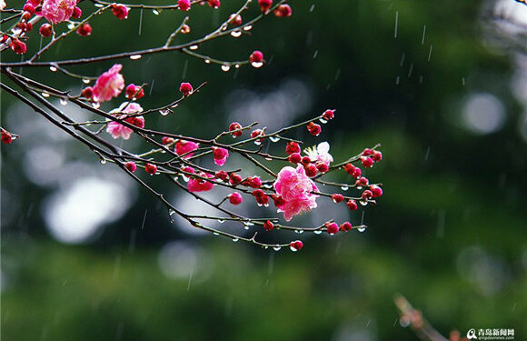 15-апрелге карата өлкөдө күтүлгөн аба ырайы