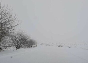 Алайда кар кете элек… 7-апрелдеги көрүнүшүнөн видео