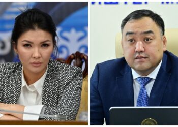 «Өз бизнестери менен алек». Айгүл Айдарова УКМКдан ИИМди көзөмөлдөп берүүнү суранды