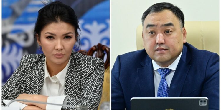 «Өз бизнестери менен алек». Айгүл Айдарова УКМКдан ИИМди көзөмөлдөп берүүнү суранды