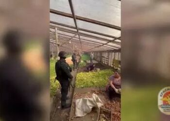Орусияда мыйзамсыз иштеп жүргөн 15 жаштагы кыргызстандык кыз аныкталды