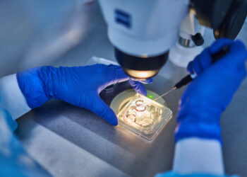 Алымкадыр Бейшеналиев быйыл мамлекеттик мекеме ЭКО жасай баштарын билдирди