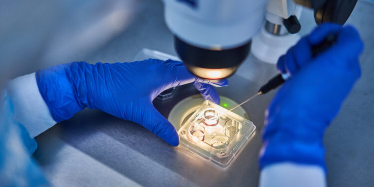 Алымкадыр Бейшеналиев быйыл мамлекеттик мекеме ЭКО жасай баштарын билдирди