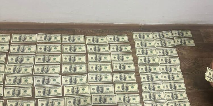 Жасалма акча сатууга аракет кылган шектүү кармалды. Жанынан 20 миңдей доллар табылган