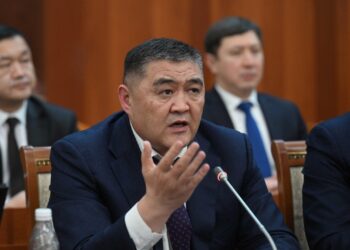 Камчыбек Ташиев: «Спикердин сөзүнөн кийин президент да өз оюн билдирди. Демек, маселе олуттуу экен»