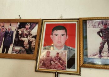 Кыргыз-тажик чек арасында окко учкан үч чек арачыга куран окулду