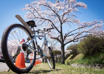 «Жолдор жабылат». Бишкекте велосезон 7-апрелде ачылат