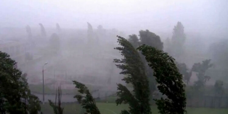 Шашылыш билдирүү! Бишкек менен Чүйдө катуу шамал болот