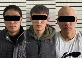 Токтогулда 5 айдан бери мал уурдап жүргөн жигиттер колго түштү (видео)