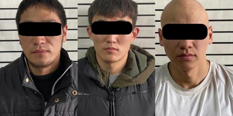 Токтогулда 5 айдан бери мал уурдап жүргөн жигиттер колго түштү (видео)