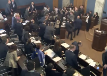 Грузияда «Чет элдик өкүл» мыйзамы каралып жатканда мушташ чыкты (видео)