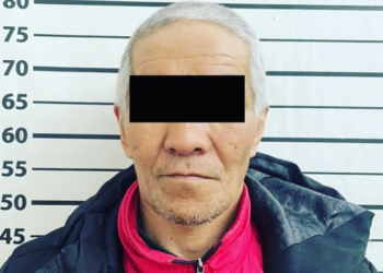 «Ысык-Көлгө качкан». Чүйдө чогуу жашаган аялды өлтүрүүгө шектүү кармалды