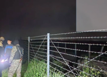 Ошто жарандарды Өзбекстанга сойлотуп өткөрүп жүргөн шектүүлөр кармалды (видео)