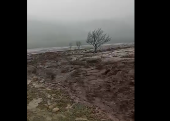 Чүй облусунда да сел жүрдү (видео)