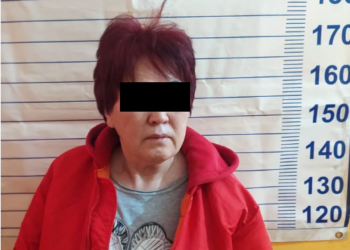 Ысык-Көлдө өрүк саткан тургундарды 750 миң сомго алдап кеткен аял Орусияда кармалды