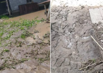 Өзгөндө сел жүрдү