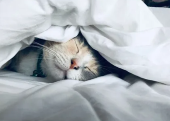 Эске салабыз! Бул аптада кыргызстандыктар 2 күн гана иштешет