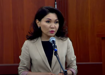 Сокулукта 9 эркек тарабынан кордолуп келген 13 жаштагы кыздын окуясы Жогорку Кеңеште көтөрүлдү